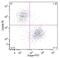 Kappa light chains antibody, MA1-10389, Invitrogen Antibodies, Flow Cytometry image 