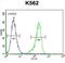 Ribosomal Protein S19 antibody, abx026573, Abbexa, Flow Cytometry image 