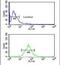 TCF3 Fusion Partner antibody, PA5-26312, Invitrogen Antibodies, Flow Cytometry image 