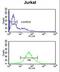 SHC Binding And Spindle Associated 1 antibody, LS-C161072, Lifespan Biosciences, Flow Cytometry image 