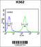FANCD2 And FANCI Associated Nuclease 1 antibody, 61-855, ProSci, Immunofluorescence image 