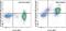 Mechanistic Target Of Rapamycin Kinase antibody, 25-9718-42, Invitrogen Antibodies, Flow Cytometry image 