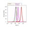 Discs Large MAGUK Scaffold Protein 2 antibody, 711031, Invitrogen Antibodies, Flow Cytometry image 