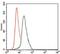 Keratin 13 antibody, GTX60622, GeneTex, Flow Cytometry image 