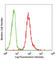 Adhesion G Protein-Coupled Receptor E5 antibody, 336306, BioLegend, Flow Cytometry image 