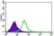 G Protein Nucleolar 3 antibody, MA5-17082, Invitrogen Antibodies, Flow Cytometry image 