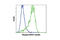Heat Shock Protein Family B (Small) Member 1 antibody, 9709P, Cell Signaling Technology, Flow Cytometry image 