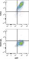 TLR12 antibody, MAB8086, R&D Systems, Flow Cytometry image 