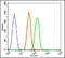 Forkhead Box M1 antibody, orb6058, Biorbyt, Flow Cytometry image 