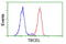 Tubulin Folding Cofactor E Like antibody, LS-C172821, Lifespan Biosciences, Flow Cytometry image 