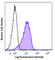 CD304 antibody, 145301, BioLegend, Flow Cytometry image 