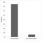 Inositol Polyphosphate-5-Phosphatase D antibody, LS-C291632, Lifespan Biosciences, Enzyme Linked Immunosorbent Assay image 