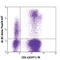 Interferon Gamma antibody, 502516, BioLegend, Immunocytochemistry image 