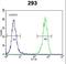 Twinfilin Actin Binding Protein 2 antibody, LS-C162287, Lifespan Biosciences, Flow Cytometry image 