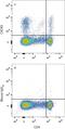 C-X-C Motif Chemokine Receptor 3 antibody, FAB8109P, R&D Systems, Flow Cytometry image 