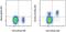 C-X-C Motif Chemokine Receptor 5 antibody, 17-9185-42, Invitrogen Antibodies, Flow Cytometry image 