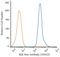 Inhibitor Of Nuclear Factor Kappa B Kinase Subunit Beta antibody, NB100-56509AF647, Novus Biologicals, Flow Cytometry image 