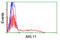 ADP Ribosylation Factor Like GTPase 11 antibody, TA503903, Origene, Flow Cytometry image 