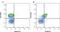 Fc Fragment Of IgG Receptor IIb antibody, MCA6000F, Bio-Rad (formerly AbD Serotec) , Flow Cytometry image 