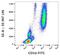 CD16 antibody, GTX79997, GeneTex, Flow Cytometry image 
