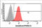 PPARG Coactivator 1 Alpha antibody, GTX57707, GeneTex, Flow Cytometry image 