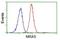 Muscle RAS Oncogene Homolog antibody, NBP2-00719, Novus Biologicals, Flow Cytometry image 