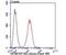 Nuclear Factor I B antibody, NBP2-75591, Novus Biologicals, Flow Cytometry image 