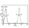 Glucose-6-Phosphate Isomerase antibody, LS-C166610, Lifespan Biosciences, Flow Cytometry image 