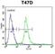 Potassium Channel Tetramerization Domain Containing 12 antibody, abx034301, Abbexa, Western Blot image 