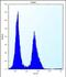 Podocan Like 1 antibody, PA5-48343, Invitrogen Antibodies, Flow Cytometry image 