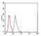 ATP Binding Cassette Subfamily G Member 5 antibody, NBP2-23488, Novus Biologicals, Flow Cytometry image 