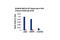 Ring Finger Protein 20 antibody, 11974P, Cell Signaling Technology, Chromatin Immunoprecipitation image 