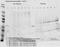 Aldolase, Fructose-Bisphosphate A antibody, A05022-1, Boster Biological Technology, Immunoprecipitation image 