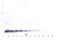 Interleukin 17B antibody, 38-173, ProSci, Western Blot image 