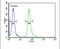 G Protein Subunit Alpha Transducin 3 antibody, PA5-23986, Invitrogen Antibodies, Flow Cytometry image 