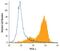 Paired Immunoglobin Like Type 2 Receptor Alpha antibody, AF4318, R&D Systems, Western Blot image 