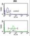 Nucleoporin 153 antibody, LS-C163068, Lifespan Biosciences, Flow Cytometry image 