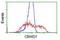 COBW Domain Containing 1 antibody, NBP2-02931, Novus Biologicals, Flow Cytometry image 