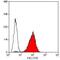 Glycoprotein IX Platelet antibody, MA1-91023, Invitrogen Antibodies, Flow Cytometry image 