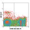 c-Kit antibody, 105822, BioLegend, Flow Cytometry image 