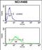 Potassium Voltage-Gated Channel Subfamily J Member 2 antibody, PA5-72498, Invitrogen Antibodies, Flow Cytometry image 