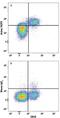 IKAROS Family Zinc Finger 3 antibody, MAB8625, R&D Systems, Flow Cytometry image 