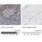 Interferon Gamma Inducible Protein 16 antibody, NBP1-83118, Novus Biologicals, Immunohistochemistry paraffin image 