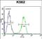 Tau Tubulin Kinase 2 antibody, PA5-71648, Invitrogen Antibodies, Flow Cytometry image 