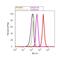 JunD Proto-Oncogene, AP-1 Transcription Factor Subunit antibody, PA1-834, Invitrogen Antibodies, Flow Cytometry image 