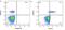 CD1c Molecule antibody, GTX19659, GeneTex, Flow Cytometry image 