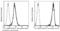 SCARA1 antibody, 50129-R004-P, Sino Biological, Flow Cytometry image 