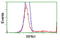 Ribophorin I antibody, LS-C173361, Lifespan Biosciences, Flow Cytometry image 