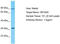 Olfactory Receptor Family 10 Subfamily G Member 9 antibody, TA332346, Origene, Western Blot image 