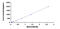 Platelet Derived Growth Factor C antibody, MBS2021398, MyBioSource, Enzyme Linked Immunosorbent Assay image 